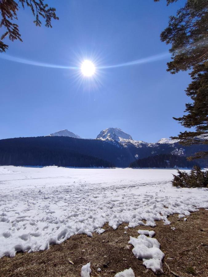 Monte Pino Lux Apartments Žabljak Eksteriør bilde